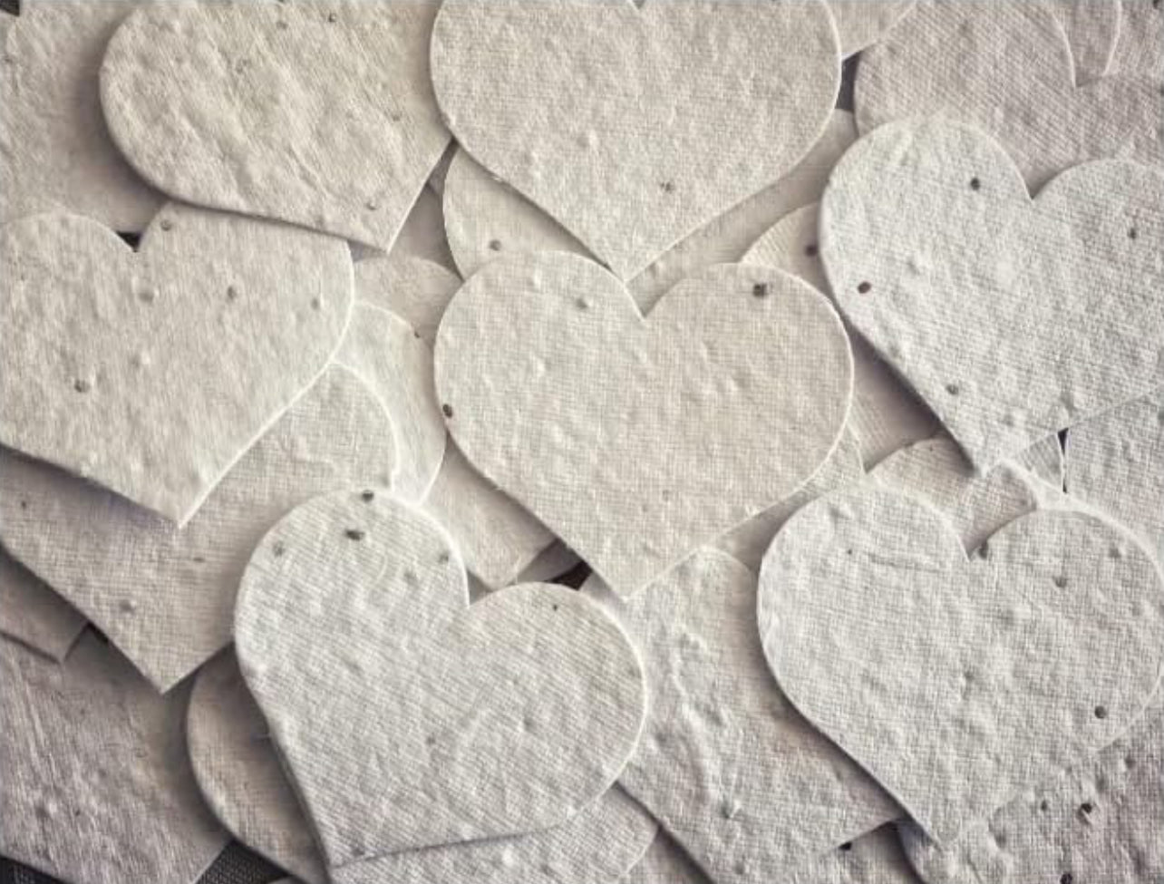 2 x Heart Seed Paper