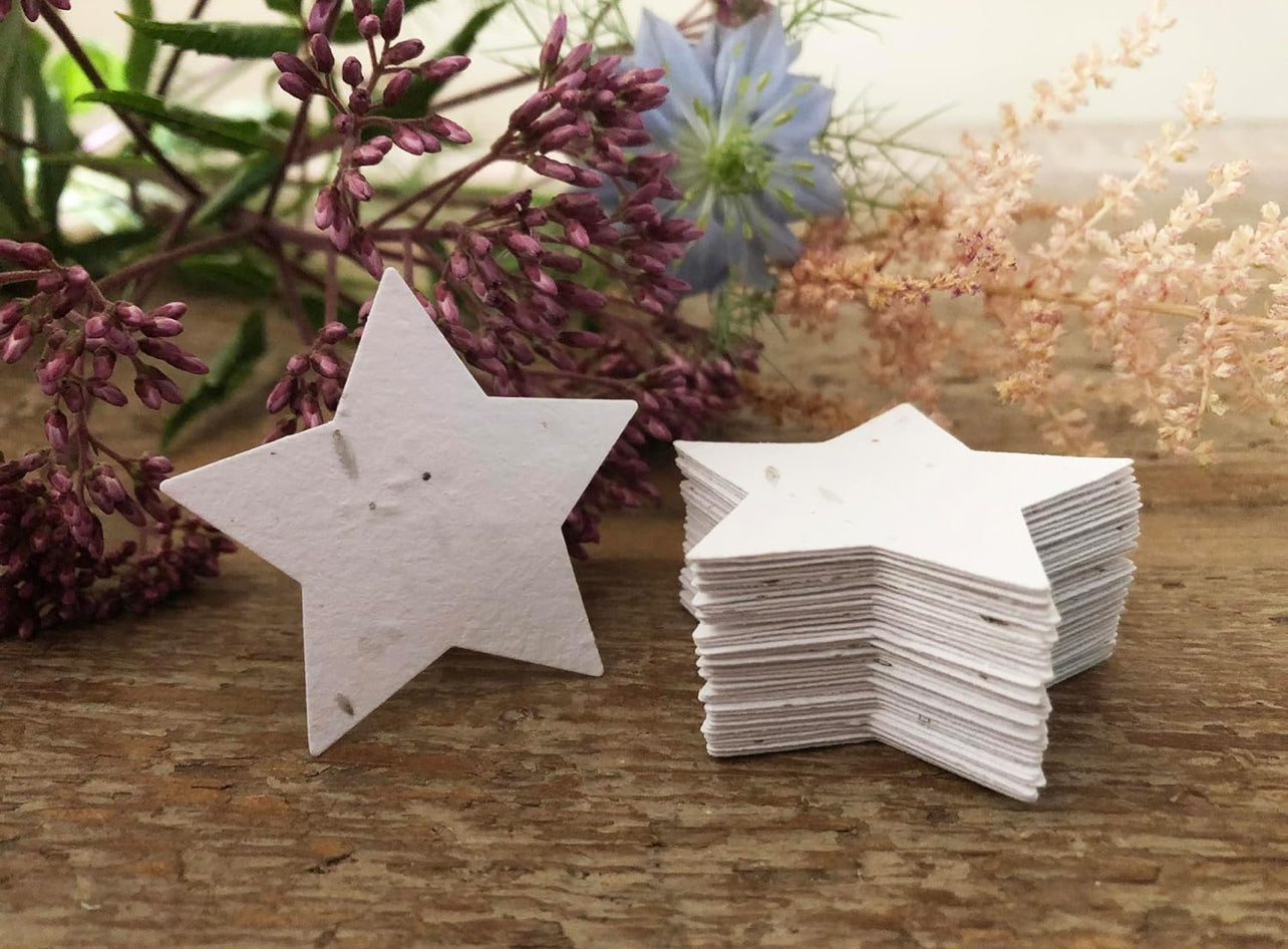 2 x Star Seed Paper